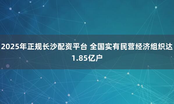 2025年正规长沙配资平台 全国实有民营经济组织达1.85亿户