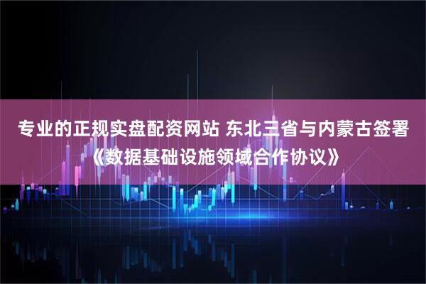 专业的正规实盘配资网站 东北三省与内蒙古签署《数据基础设施领域合作协议》