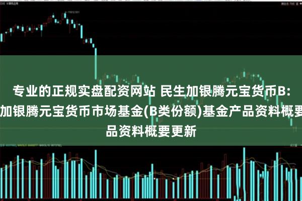 专业的正规实盘配资网站 民生加银腾元宝货币B: 民生加银腾元宝货币市场基金(B类份额)基金产品资料概要更新