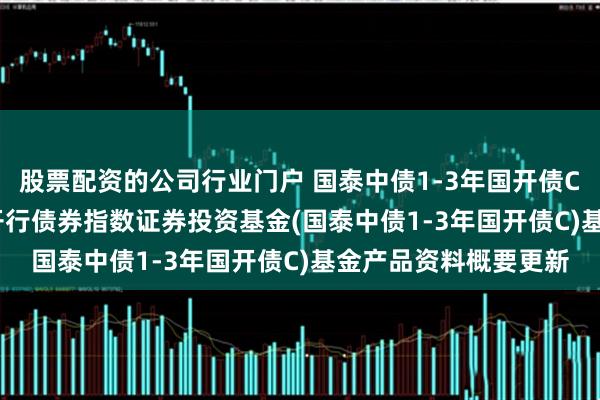 股票配资的公司行业门户 国泰中债1-3年国开债C: 国泰中债1-3年国开行债券指数证券投资基金(国泰中债1-3年国开债C)基金产品资料概要更新