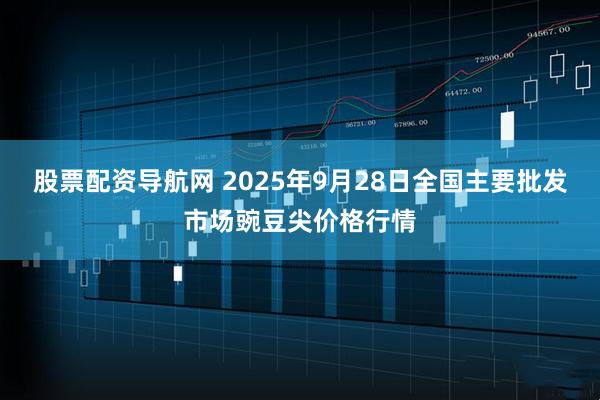 股票配资导航网 2025年9月28日全国主要批发市场豌豆尖价格行情